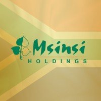 Msinsi Holdings